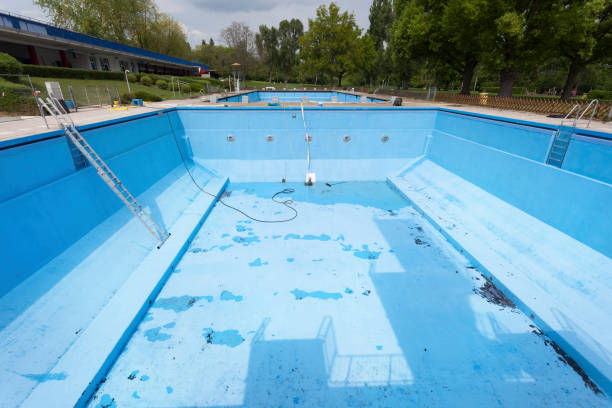 Best Water damage contractors near me  in Sealy, TX