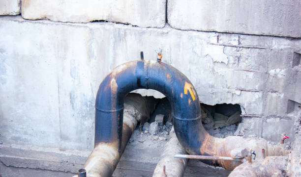 Best Water damage mitigation services  in Sealy, TX